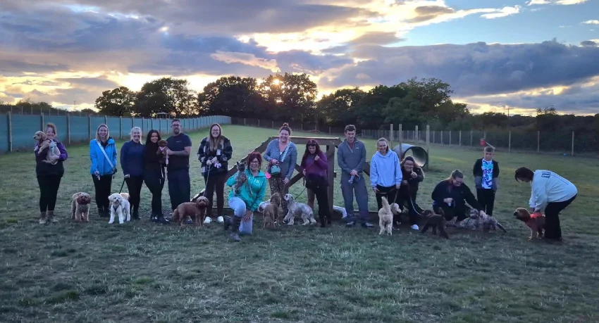 Doggy Socials