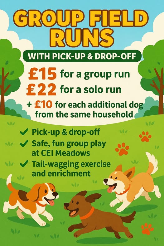 Group Field Runs, Cei Meadows, Connah's Quay