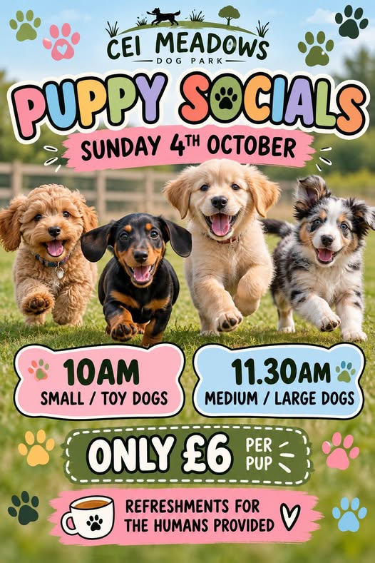 Puppy Socials