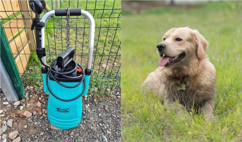 Mud Daddies at the Dog Walking Park