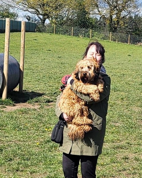 Cei Meadows Dog Park