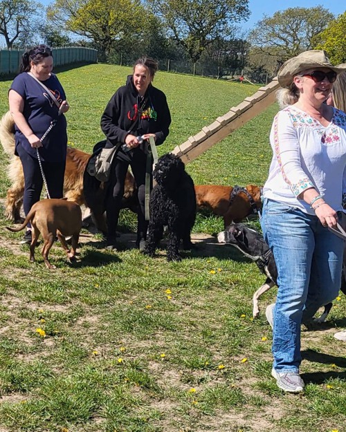 Cei Meadows Dog Park