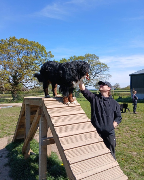 Cei Meadows Dog Park
