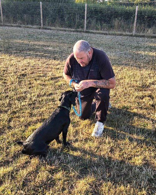 Cei Meadows Dog Park