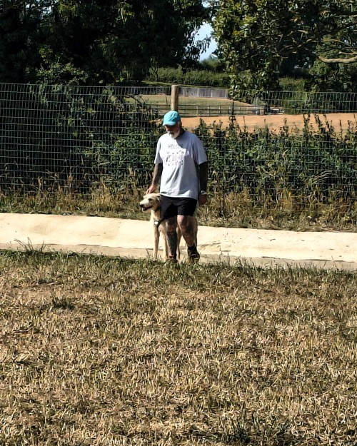 Cei Meadows Dog Park