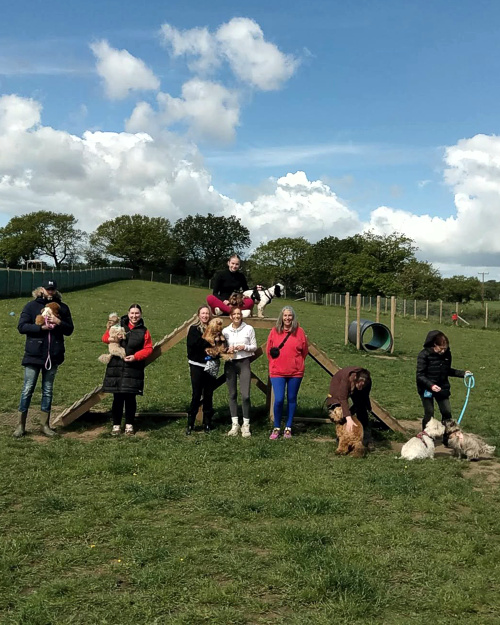 Cei Meadows Dog Park