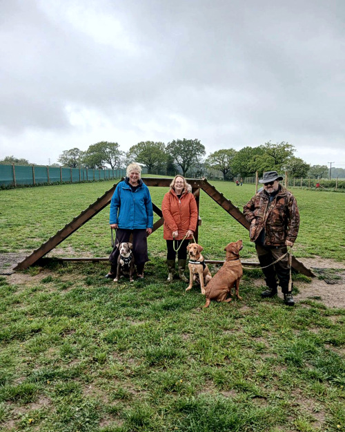Cei Meadows Dog Park